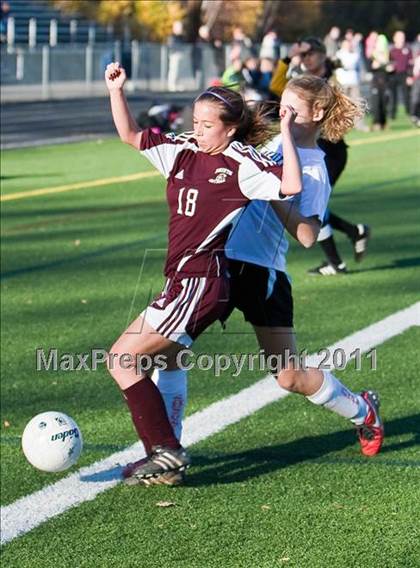 Thumbnail 2 in Bristol Central @ Shelton (CIAC Class LL 2nd Round) photogallery.