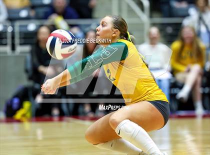 Thumbnail 2 in Boyd vs. Stockdale (UIL 3A Volleyball Division II Final) photogallery.