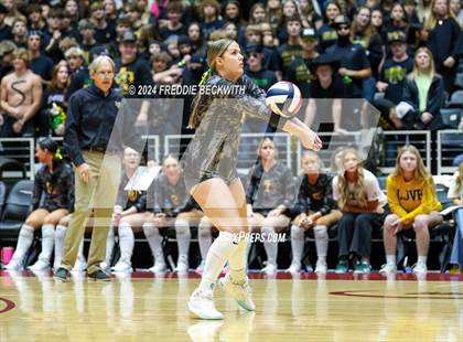 Thumbnail 1 in Boyd vs. Stockdale (UIL 3A Volleyball Division II Final) photogallery.