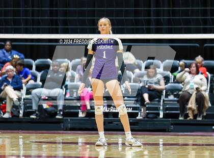 Thumbnail 1 in Boyd vs. Stockdale (UIL 3A Volleyball Division II Final) photogallery.