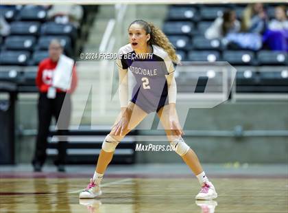 Thumbnail 1 in Boyd vs. Stockdale (UIL 3A Volleyball Division II Final) photogallery.