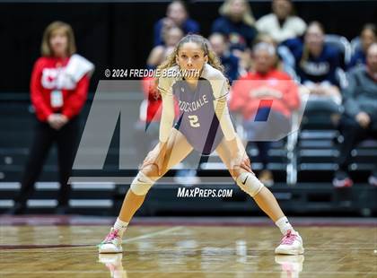 Thumbnail 1 in Boyd vs. Stockdale (UIL 3A Volleyball Division II Final) photogallery.