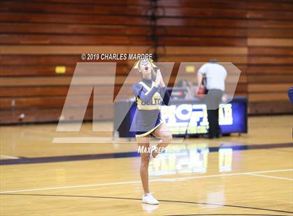Thumbnail 3 in Pine Forest @ Cape Fear photogallery.