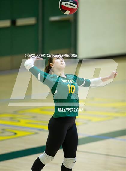 Thumbnail 2 in Royal @ Moorpark photogallery.