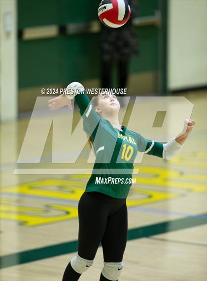 Thumbnail 2 in Royal @ Moorpark photogallery.