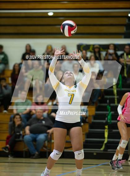 Thumbnail 1 in Royal @ Moorpark photogallery.