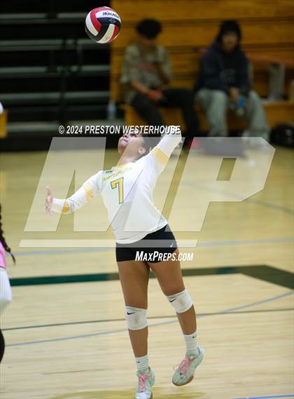 Thumbnail 2 in Royal @ Moorpark photogallery.