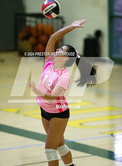 Thumbnail 2 in Royal @ Moorpark photogallery.