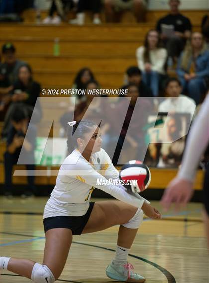 Thumbnail 1 in Royal @ Moorpark photogallery.