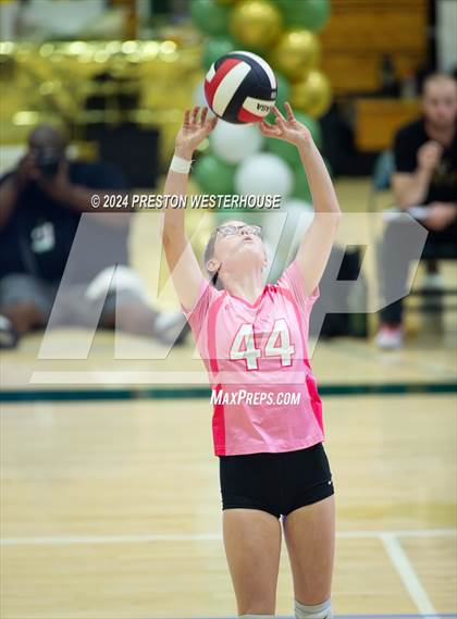 Thumbnail 1 in Royal @ Moorpark photogallery.