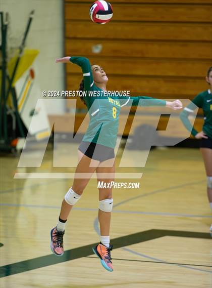 Thumbnail 3 in Royal @ Moorpark photogallery.