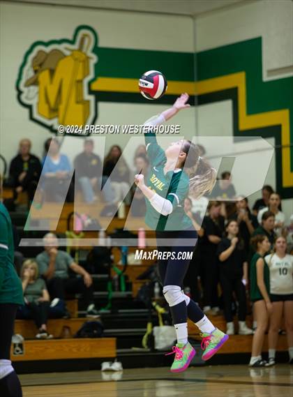 Thumbnail 2 in Royal @ Moorpark photogallery.
