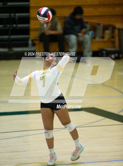 Thumbnail 2 in Royal @ Moorpark photogallery.