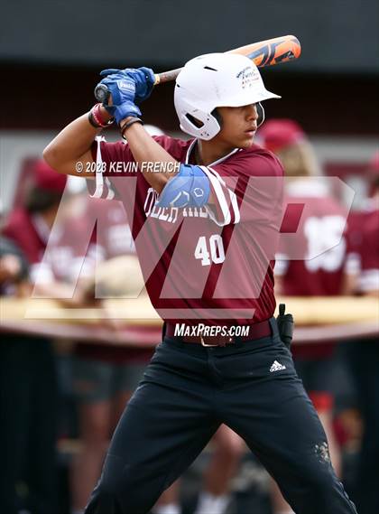 Thumbnail 3 in Mesa vs Desert Ridge (Bob Everett Classic) photogallery.