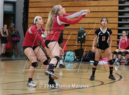 Thumbnail 3 in Plant City vs Bloomingdale photogallery.