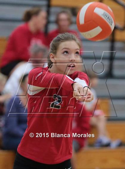 Thumbnail 3 in Plant City vs Bloomingdale photogallery.