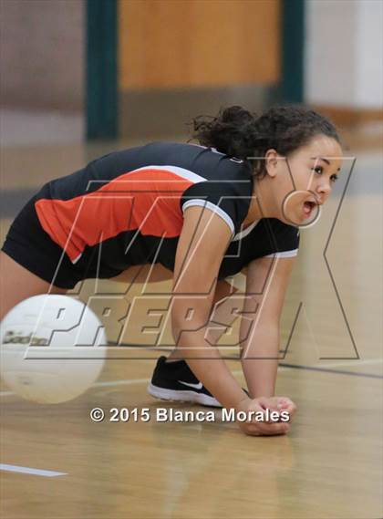 Thumbnail 2 in Plant City vs Bloomingdale photogallery.
