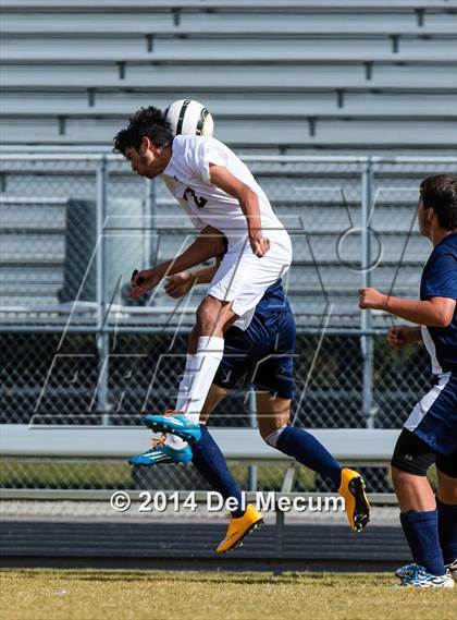 Thumbnail 1 in Wharton vs. Brandon photogallery.