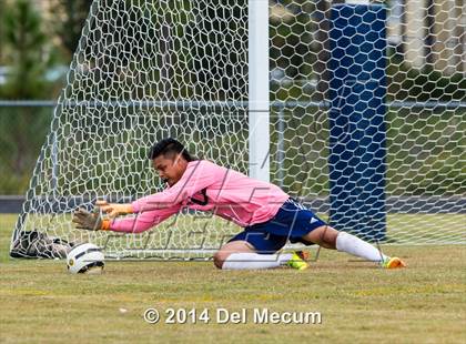 Thumbnail 3 in Wharton vs. Brandon photogallery.