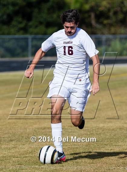 Thumbnail 1 in Wharton vs. Brandon photogallery.
