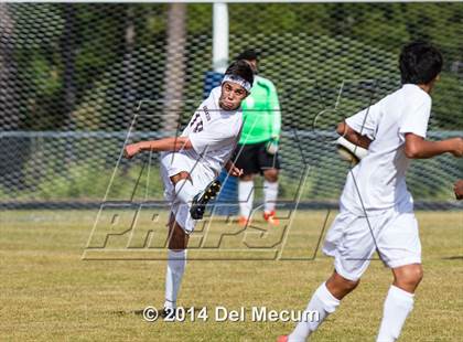 Thumbnail 1 in Wharton vs. Brandon photogallery.