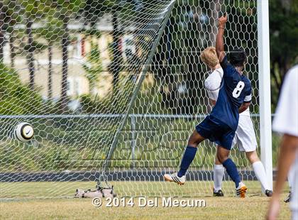 Thumbnail 3 in Wharton vs. Brandon photogallery.
