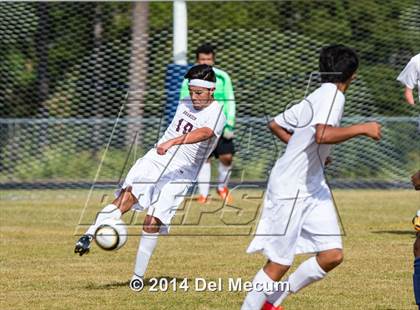 Thumbnail 3 in Wharton vs. Brandon photogallery.
