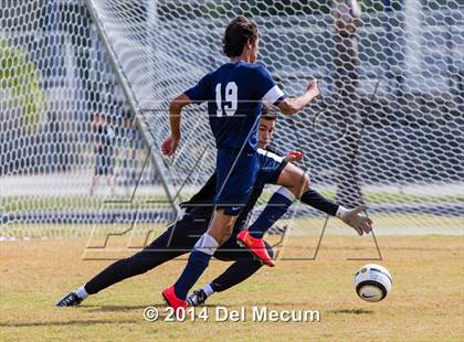 Thumbnail 2 in Wharton vs. Brandon photogallery.