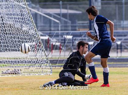 Thumbnail 1 in Wharton vs. Brandon photogallery.