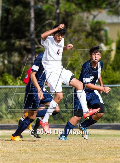 Thumbnail 2 in Wharton vs. Brandon photogallery.
