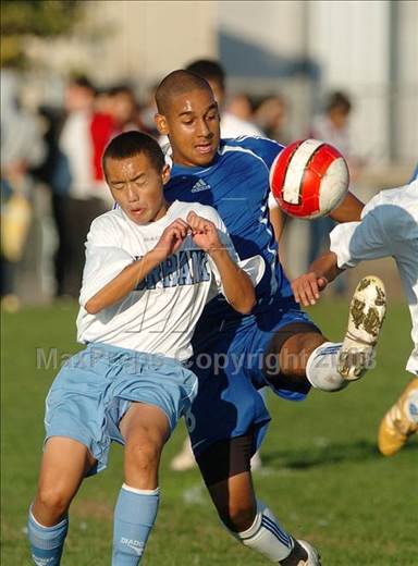 null - Photo 31