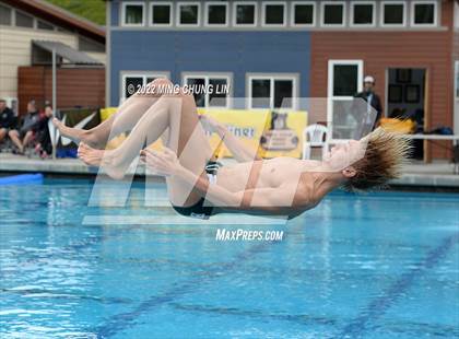 Thumbnail 1 in CIF SS D2 Diving Final photogallery.