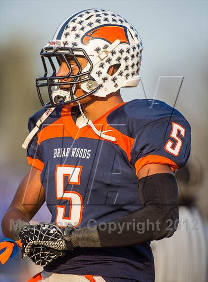 Thumbnail 2 in Briar Woods vs. Courtland (VHSL Division 4 Semifinal) photogallery.