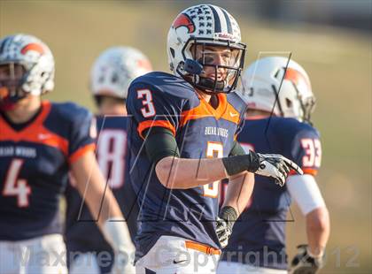 Thumbnail 1 in Briar Woods vs. Courtland (VHSL Division 4 Semifinal) photogallery.