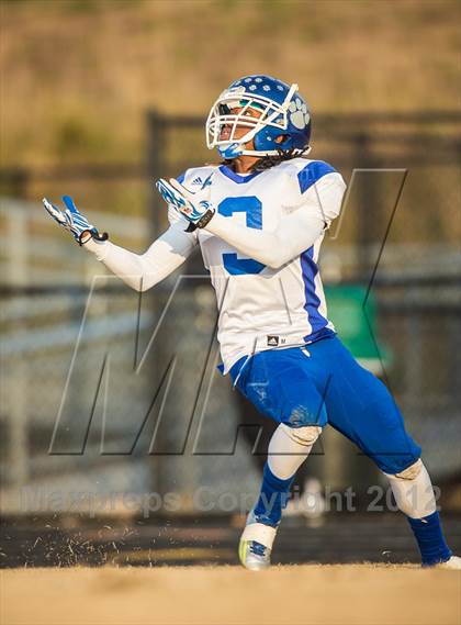 Thumbnail 1 in Briar Woods vs. Courtland (VHSL Division 4 Semifinal) photogallery.