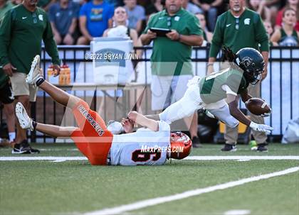 Thumbnail 2 in Greenback @ Webb photogallery.