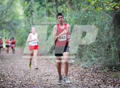 Thumbnail 1 in Mobile County Cross Country Championship photogallery.