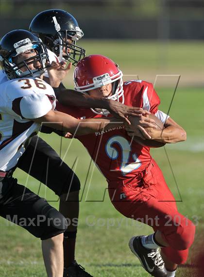 Thumbnail 1 in Florin @ Mira Loma photogallery.