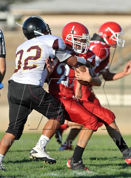 Thumbnail 2 in Florin @ Mira Loma photogallery.