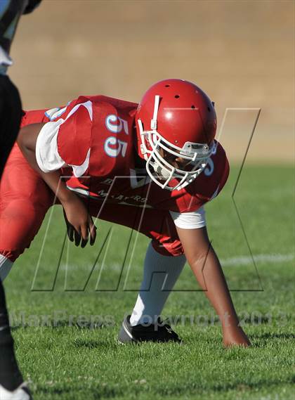 Thumbnail 2 in Florin @ Mira Loma photogallery.