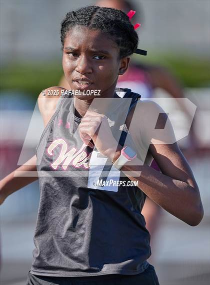 Thumbnail 2 in Dog Pound Invitational (800M) photogallery.