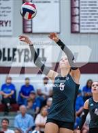 Photo from the gallery "Blanco @ Johnson City"