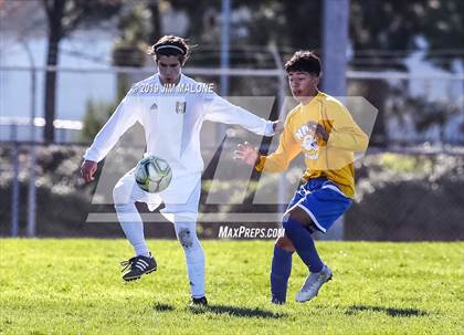 Thumbnail 1 in Livermore @ Newark Memorial photogallery.
