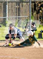 Photo from the gallery "River City @ Kennedy"