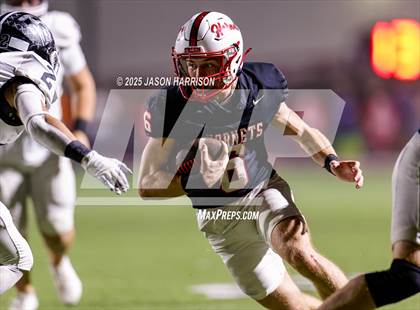Thumbnail 1 in Lindsay @ Muenster photogallery.