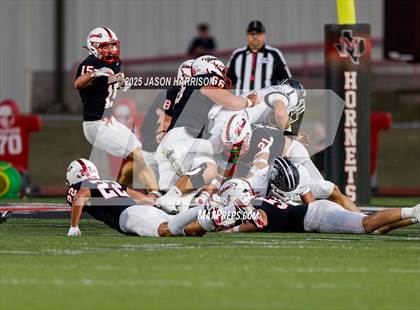 Thumbnail 1 in Lindsay @ Muenster photogallery.