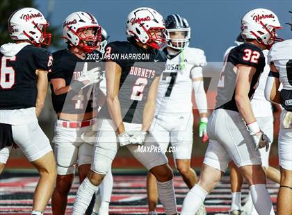 Thumbnail 1 in Lindsay @ Muenster photogallery.