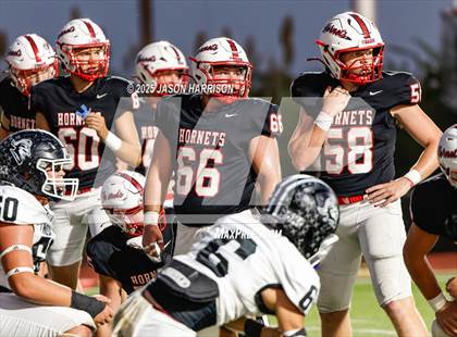 Thumbnail 3 in Lindsay @ Muenster photogallery.
