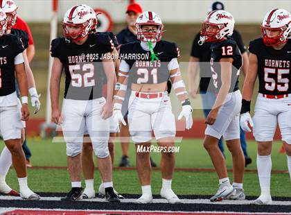 Thumbnail 3 in Lindsay @ Muenster photogallery.