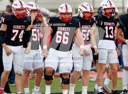 Thumbnail 3 in Lindsay @ Muenster photogallery.